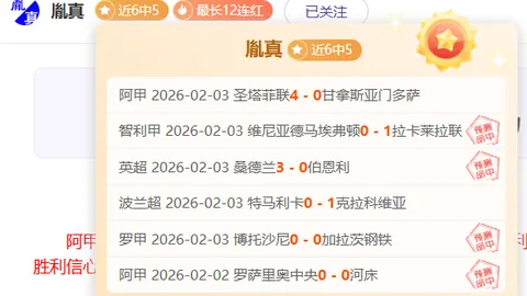 切尔西夏季引援效果不佳，年轻球员表现未达预期